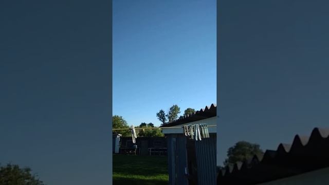 Молодые белолобые, облёт смотреть онлайн