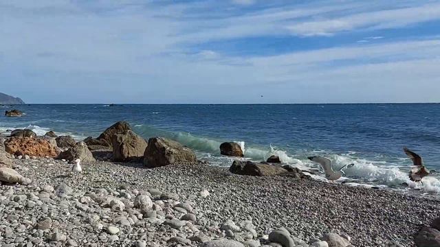 Мыс Мартьян 28 10 2023 смотреть онлайн