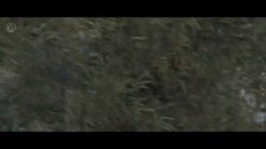 World of Tanks — Возвращение Ваффентрагера  1час  слушать без перерыва