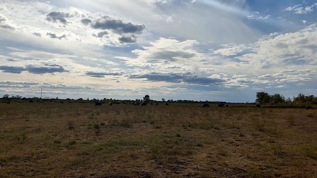 Красносельское — село в Тарановском районе Костанайской области Казахстана. смотреть онлайн