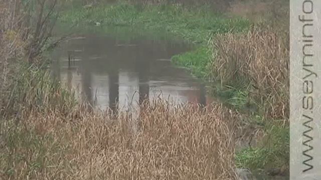 В Курске очистят берега реки Тускарь смотреть онлайн