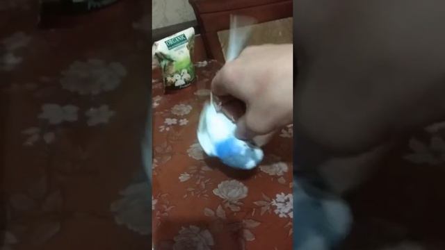 Волнистый попугай дерется смотреть онлайн