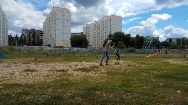 Фристайл Воронеж 09.07.2017 Елена Харахурсах и ксоло Чумена