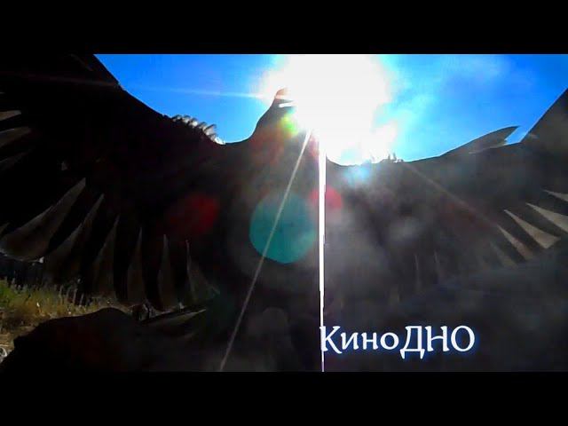 Суть со ДНА. смотреть онлайн