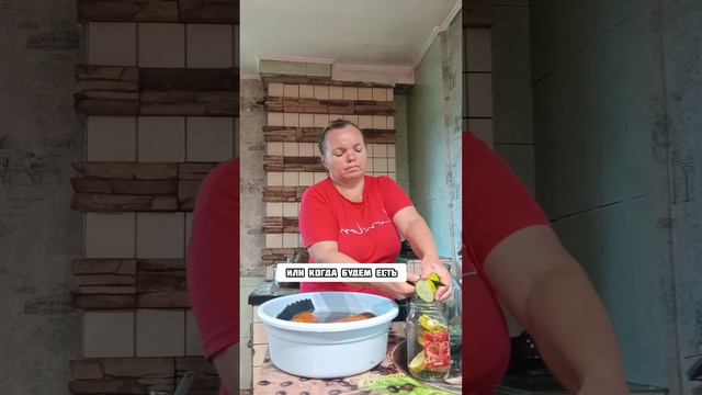 ОГУРЧИКИ НА ЗАСОЛКУ И НА СЕМЕНА.