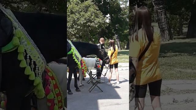 Вход в парк , катание на лошадях и пони смотреть онлайн