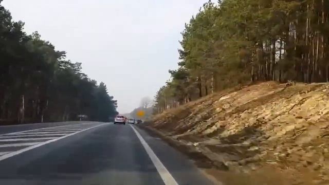 Несколько польских бронемашин едут в Rosomak к украинской границе смотреть онлайн