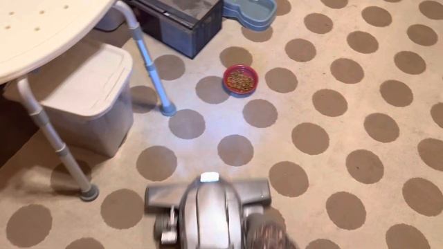 (new vacuum) Kirby Sentria 2 смотреть онлайн