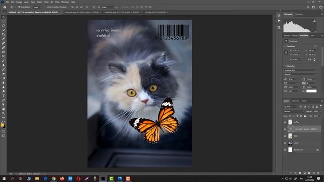 สอนPhotoshopพื้นฐานเบื้องต้น วิธีใช้งาน Photoshop สำหรับมือใหม่ EP01 смотреть онлайн