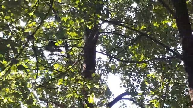 22 июня 2019 Выборг - Чистый город(5) смотреть онлайн