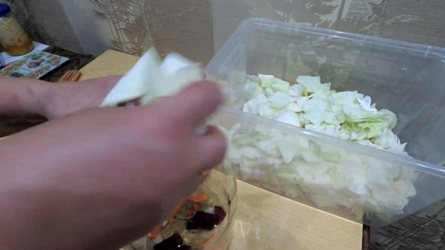 СУТОЧНАЯ ОСТРАЯ КАПУСТА "ПЕЛЮСТКА" смотреть онлайн