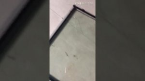 Замена Стеклопакета в мансардном окне. Что нужно знать. Мансардное окно. Разбитый стеклопакет.