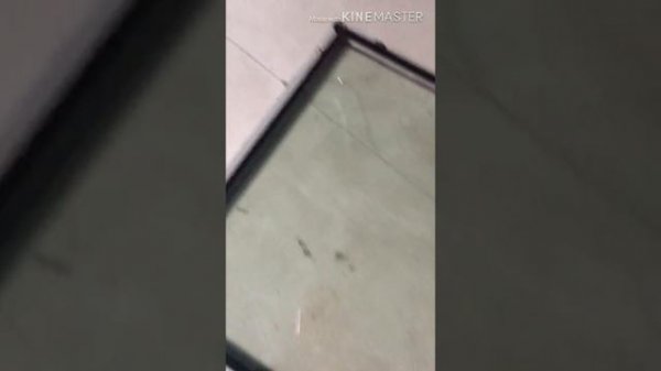 Замена Стеклопакета в мансардном окне. Что нужно знать. Мансардное окно. Разбитый стеклопакет.