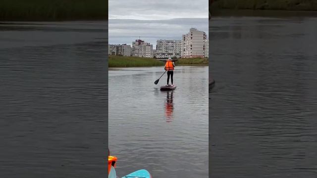 Сапсерферы в городе #sup #сапборд #сплав #сап смотреть онлайн
