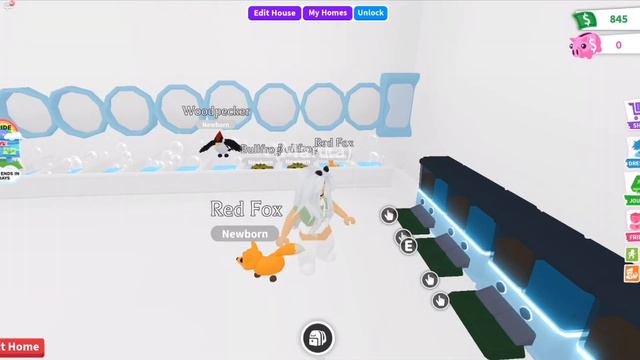 ОТКРЫВАЮ 25 ЛЕСНХ ЯИЦ В АДОПТ МИ #2 смотреть онлайн