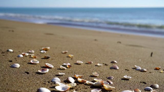 Расслабляющее видео. Звуки природы. смотреть онлайн