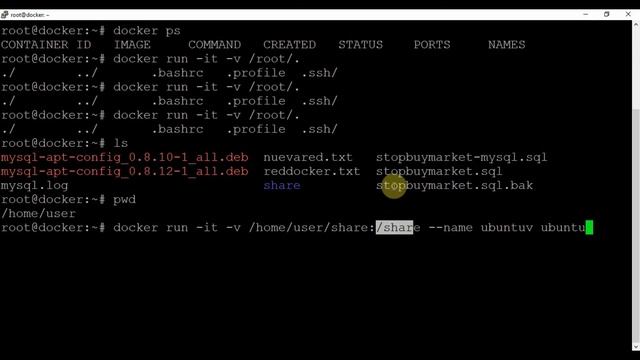 Curso Docker desde cero - Capitulo 22 Crear un directorio compartido con el host смотреть онлайн