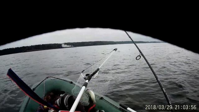 Пестовское судак смотреть онлайн