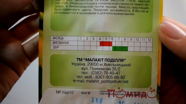 Семена Патиссона Солнышко - Помидорчик смотреть онлайн