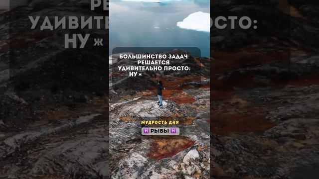 Рыбы ♓️ Действуйте! 💥 Мудрость дня 🕊 Знак зодиака Рыбы ♓️ смотреть онлайн