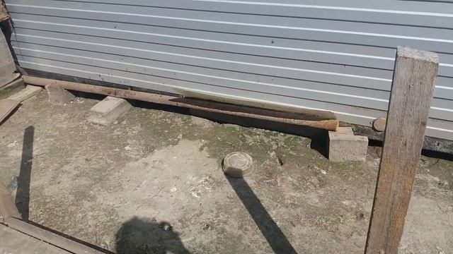 Гусыня села на яйца. Переселение цыплят. смотреть онлайн