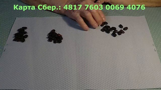 Исполнится желание или нет? Гадание онлайн. смотреть онлайн