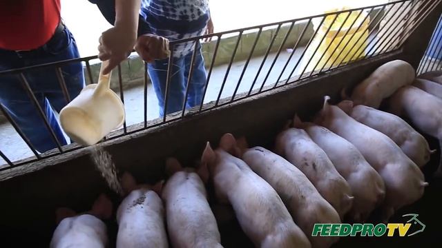 Nakatipid o Nakamura: Alamin Kung Saan ka Kikita смотреть онлайн