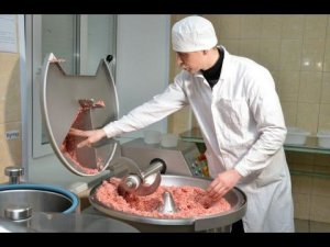 Производство натуральной сырокопченой колбасы. Технологический факультет УрГАУ
