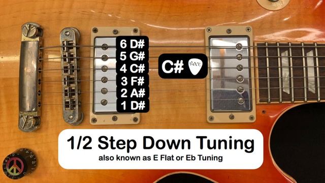 The Best Online Guitar Tuner - Half Step Down / Eb Tuning (D# G# C# F# A# D#) w/ Ryan Roxie смотреть онлайн