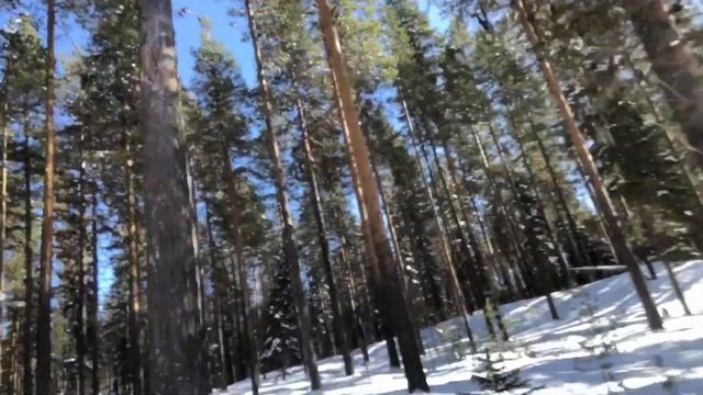 Running Logging Trails on Yamaha Viking snowmobile after heavy snowfall in an Arctic Forest смотреть онлайн