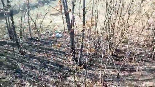 Уфа. Нефтяное озеро смотреть онлайн