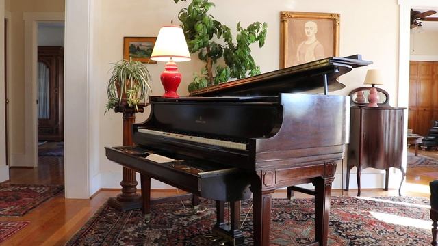 "The Enchanted Princess".Grande Mazurka..played by composer. McNair Ilgenfritz..Ampico B..Steinway смотреть онлайн