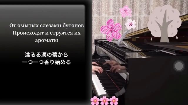 Японская популярная песня/ [Приди весна]/ ピアノ/日本の名曲 смотреть онлайн