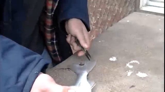 Кутум 2015 смотреть онлайн