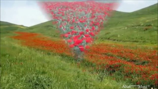 Tajikistan. Nature Tajikistan. ( Природа Таджикистана)