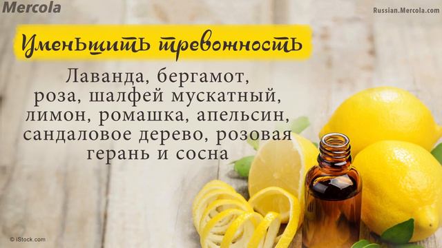 Как эфирные масла улучшают самочувствие смотреть онлайн