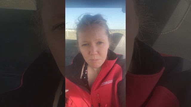 Should You Dig up Tulip Bulbs ~Gladiolus~Tulip *Replacement 🐝🌷* смотреть онлайн