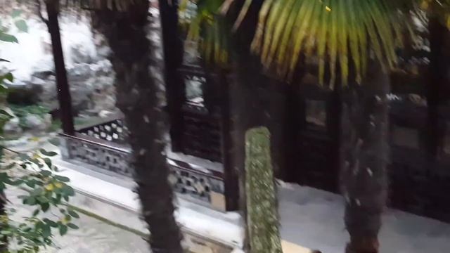 Мелодии Цвета