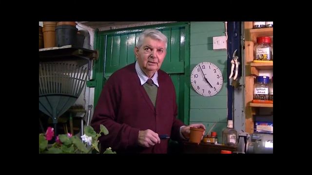 Peter teaches you how to take a pelargonium cutting - Peter's Project смотреть онлайн