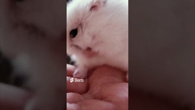 Супер скоростная помывка...... смотреть онлайн