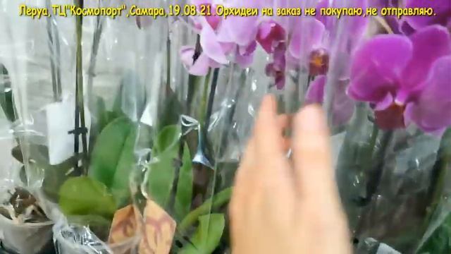 Леруа:ЗАВОЗ прекрасных ОРХИДЕЙ,19.08.21,ТЦ "Космопорт",Самара. смотреть онлайн