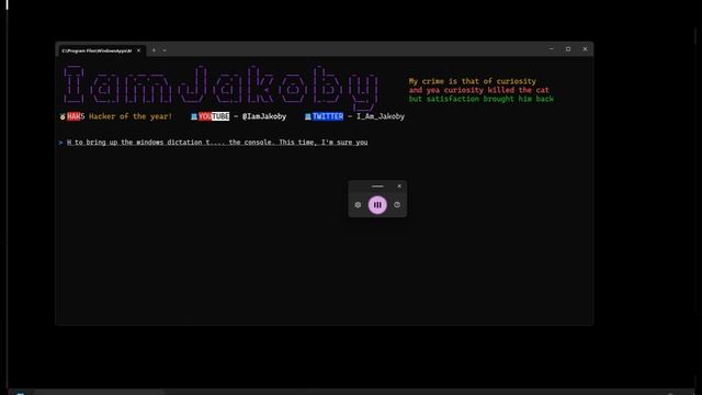 Voice Logger смотреть онлайн