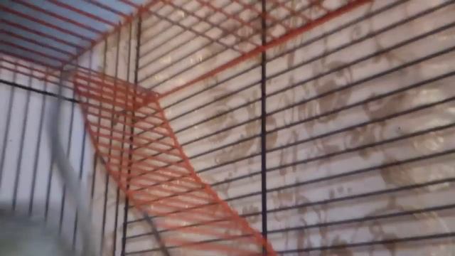 Запасы на зиму смотреть онлайн
