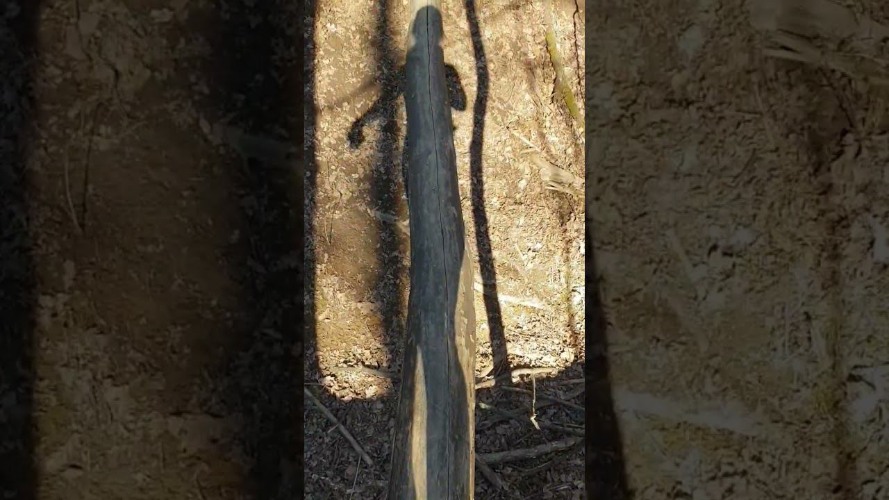 #зож #бег #тренировки #спорт смотреть онлайн