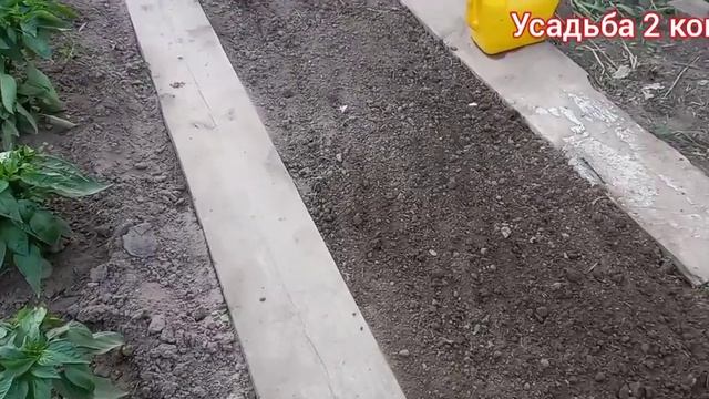 сажаем ПОРТУЛАК. смотреть онлайн