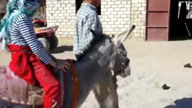 Детские перлы смешные цитаты детей смешные истории про детей высказывания детей устами младенца смотреть онлайн