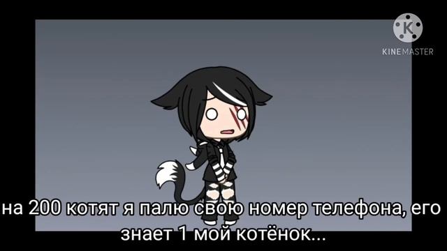 На 200 котят палю свой номер телефона смотреть онлайн