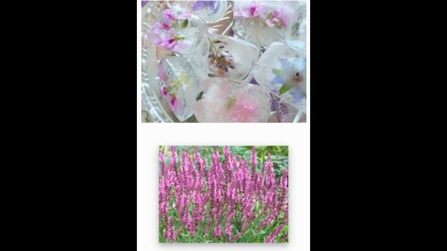 КОСМЕТИЧЕСКИЙ ЛЕД С ТРАВАМИ смотреть онлайн