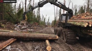 Как работать на форвардере? Заключительная серия. | Стань Императором