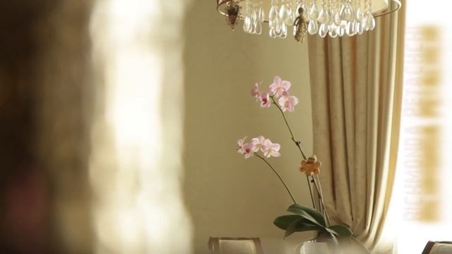 Richmonda Petachchi- Домашний Питомец Мини Свинка Pet Mini Pig смотреть онлайн